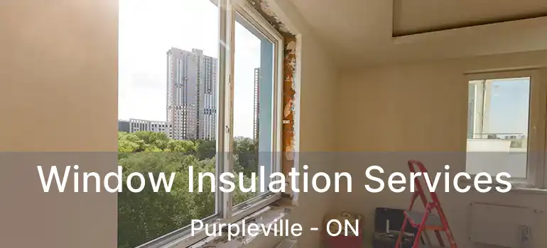  Window Insulation Services Purpleville - ON