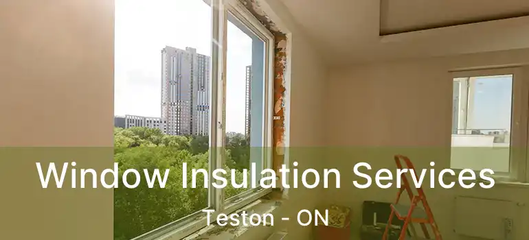  Window Insulation Services Teston - ON