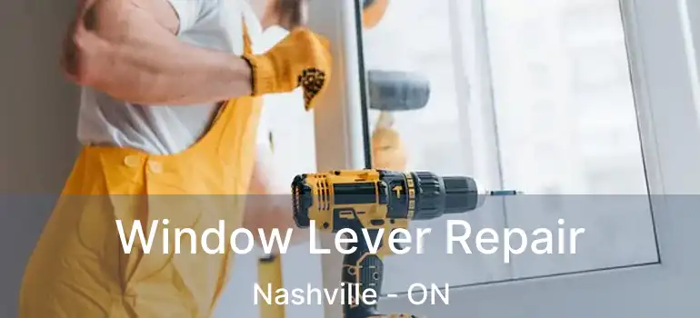  Window Lever Repair Nashville - ON