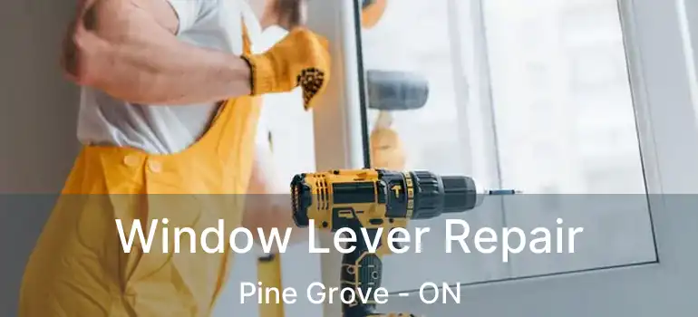  Window Lever Repair Pine Grove - ON