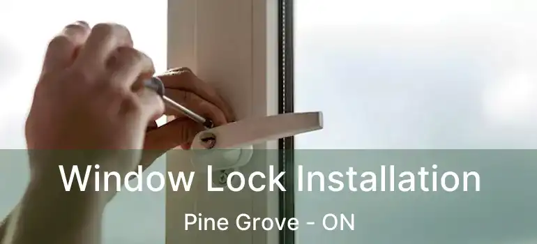 Window Lock Installation Pine Grove - ON