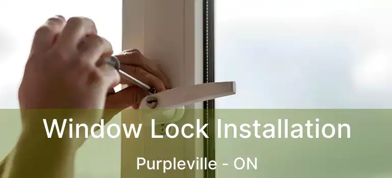  Window Lock Installation Purpleville - ON