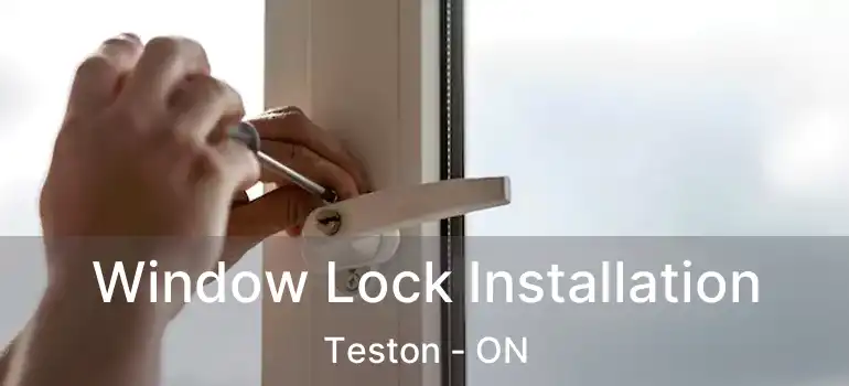  Window Lock Installation Teston - ON