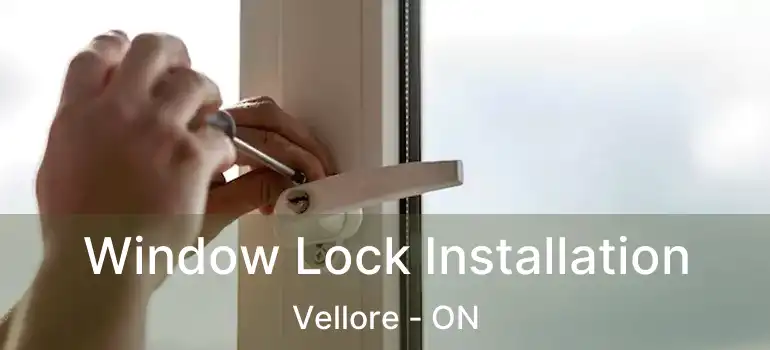  Window Lock Installation Vellore - ON