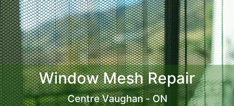  Window Mesh Repair Centre Vaughan - ON