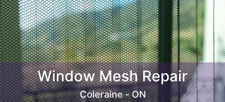  Window Mesh Repair Coleraine - ON