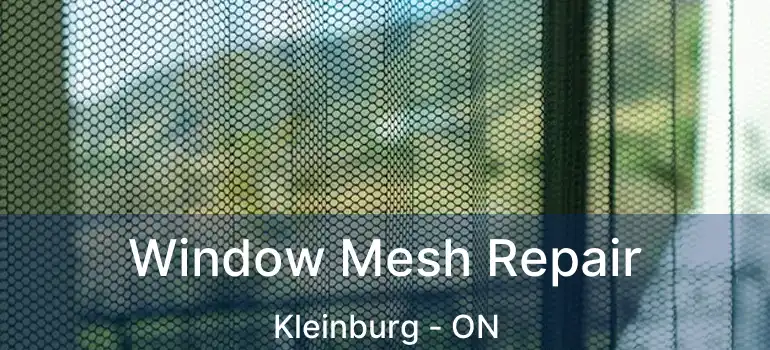  Window Mesh Repair Kleinburg - ON