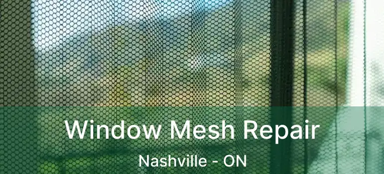  Window Mesh Repair Nashville - ON