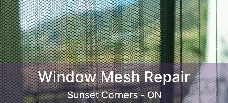  Window Mesh Repair Sunset Corners - ON