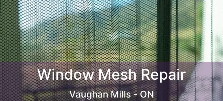  Window Mesh Repair Vaughan Mills - ON