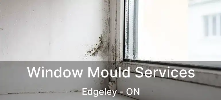  Window Mould Services Edgeley - ON