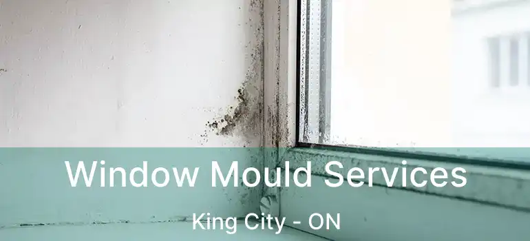  Window Mould Services King City - ON
