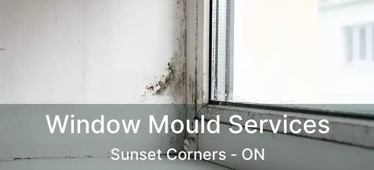  Window Mould Services Sunset Corners - ON