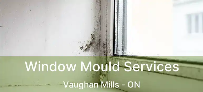  Window Mould Services Vaughan Mills - ON