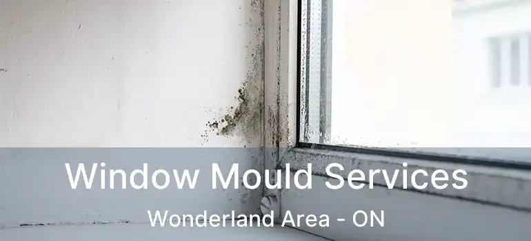  Window Mould Services Wonderland Area - ON