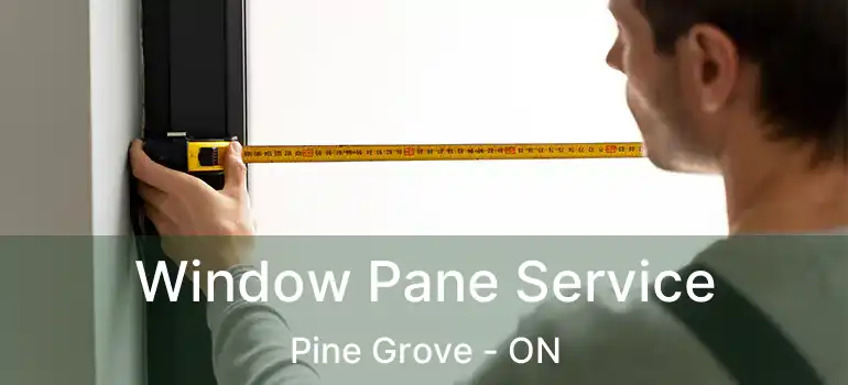  Window Pane Service Pine Grove - ON
