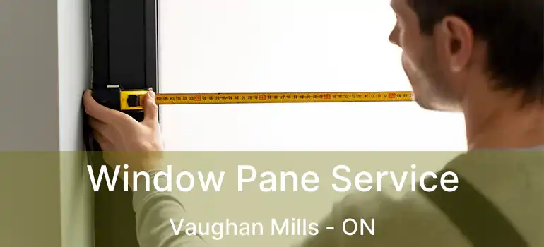  Window Pane Service Vaughan Mills - ON