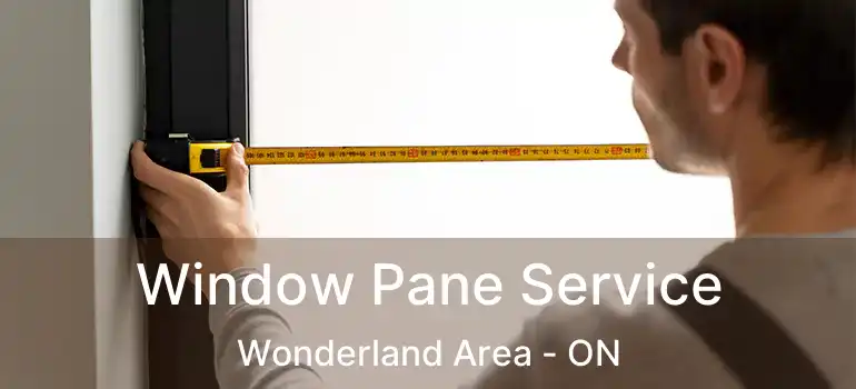  Window Pane Service Wonderland Area - ON
