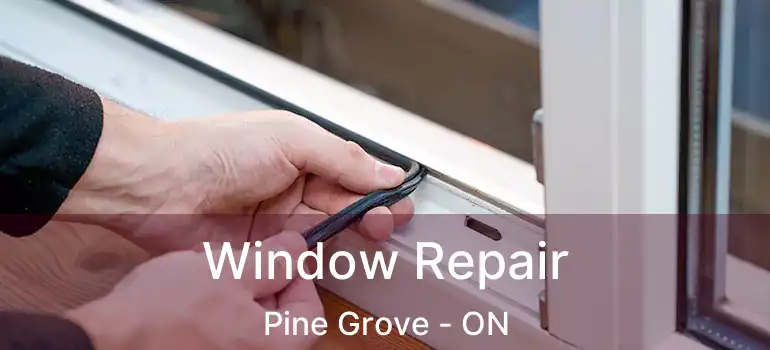  Window Repair Pine Grove - ON