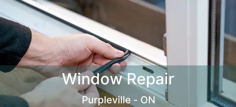  Window Repair Purpleville - ON