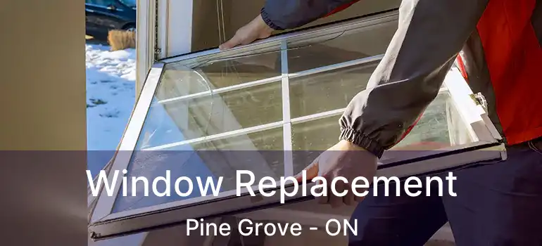  Window Replacement Pine Grove - ON