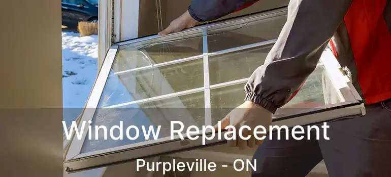  Window Replacement Purpleville - ON