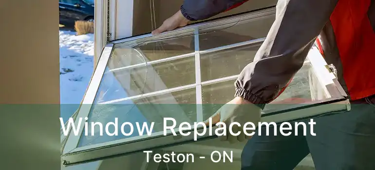  Window Replacement Teston - ON