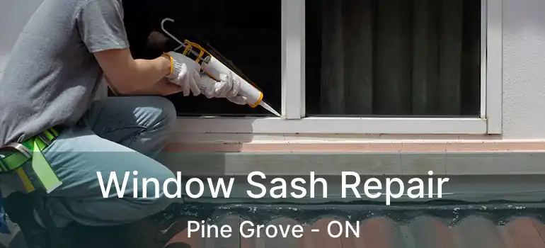  Window Sash Repair Pine Grove - ON