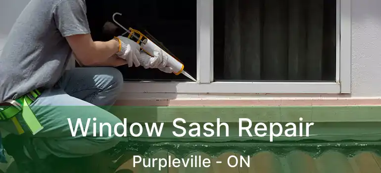  Window Sash Repair Purpleville - ON
