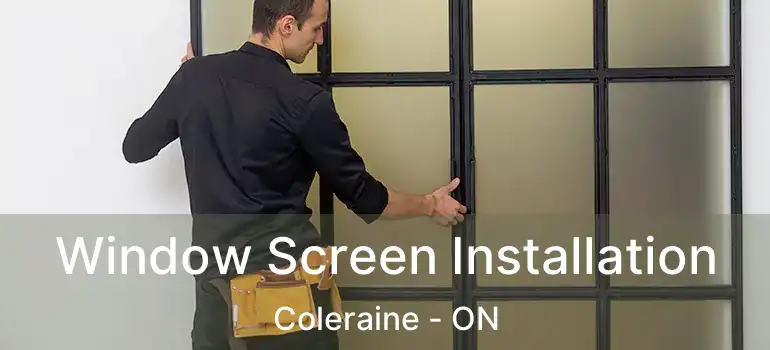  Window Screen Installation Coleraine - ON