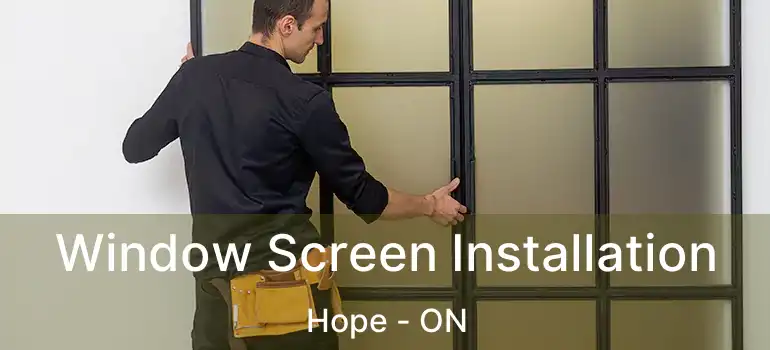  Window Screen Installation Hope - ON