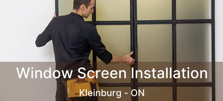  Window Screen Installation Kleinburg - ON