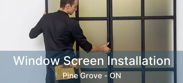  Window Screen Installation Pine Grove - ON
