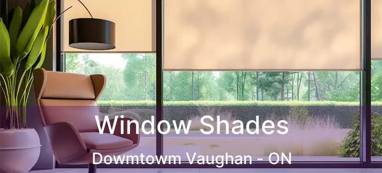  Window Shades Dowmtowm Vaughan - ON