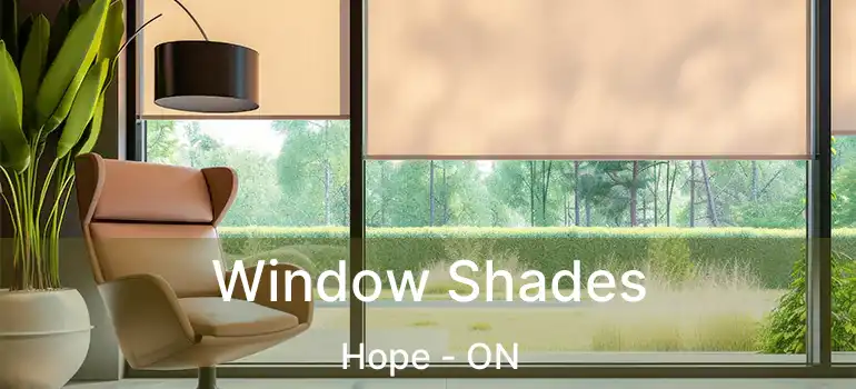  Window Shades Hope - ON