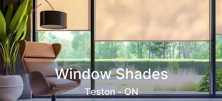 Window Shades Teston - ON