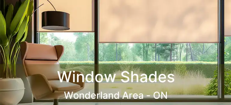  Window Shades Wonderland Area - ON