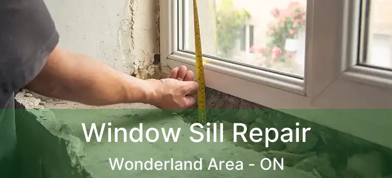  Window Sill Repair Wonderland Area - ON