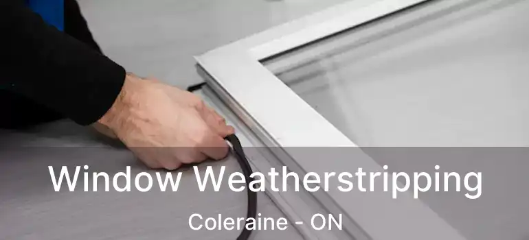  Window Weatherstripping Coleraine - ON