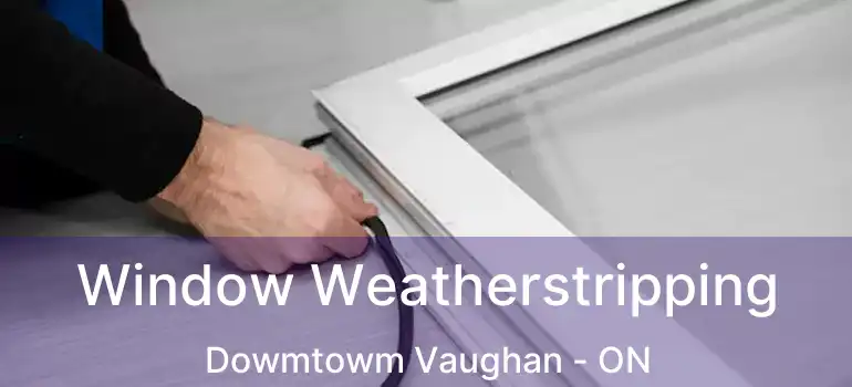  Window Weatherstripping Dowmtowm Vaughan - ON
