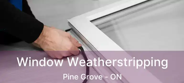  Window Weatherstripping Pine Grove - ON