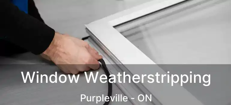  Window Weatherstripping Purpleville - ON