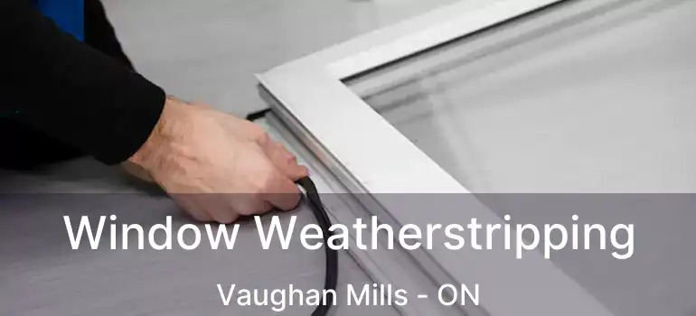  Window Weatherstripping Vaughan Mills - ON