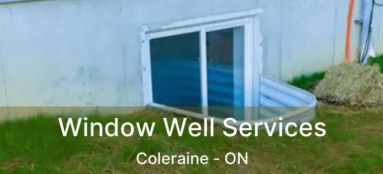  Window Well Services Coleraine - ON