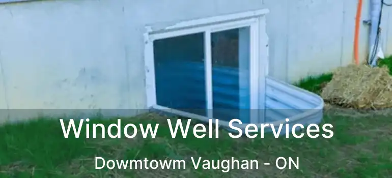  Window Well Services Dowmtowm Vaughan - ON