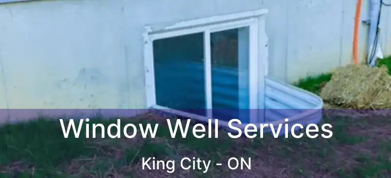  Window Well Services King City - ON