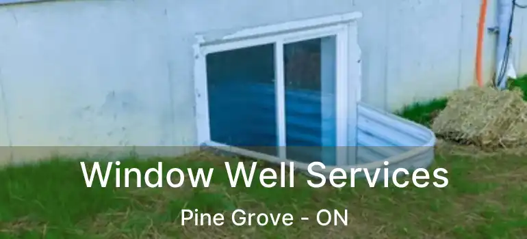  Window Well Services Pine Grove - ON