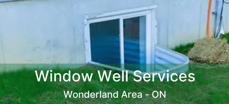  Window Well Services Wonderland Area - ON