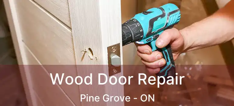  Wood Door Repair Pine Grove - ON