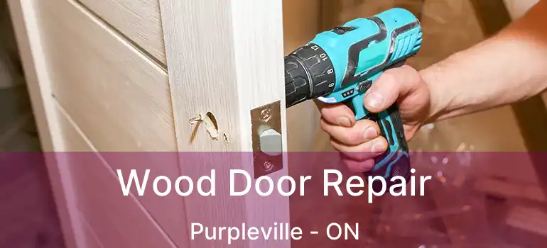  Wood Door Repair Purpleville - ON